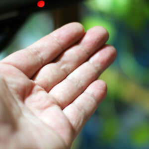 An open hand. The background is out of focus. Slight wrinkles from age are visible. The gesture is nondistinct but nonthreatening.